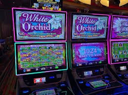 u0155 casino en línea